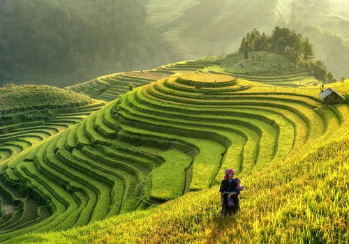 91873cc4-40c0-4eb3-aac2-c4761256e1bf