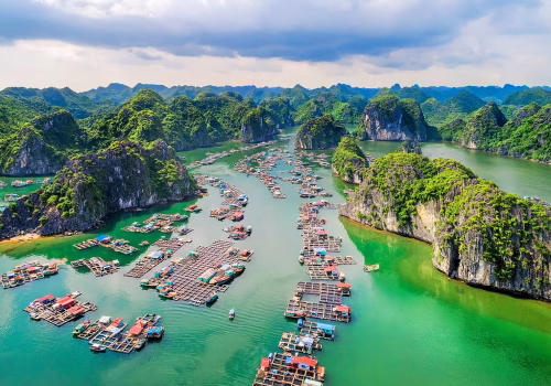 95faa061-ee50-4021-a867-b75f77e1d652