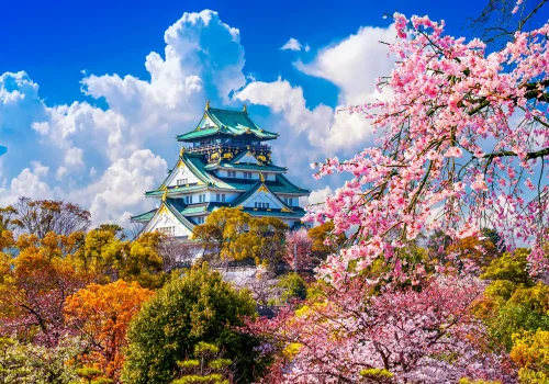 a08760c4-932d-4055-bd82-22b6339f99d5