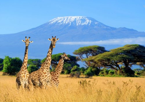 kenia_safari_rundreisen-1536x1087